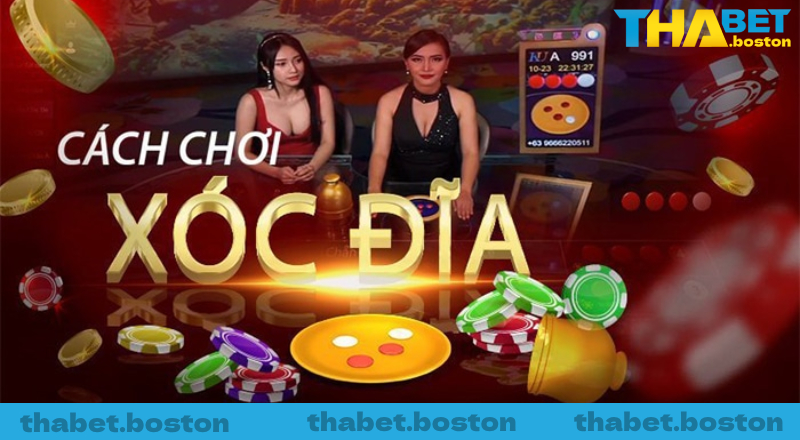 Mẹo chơi xóc đĩa bất bại cho anh em cược thủ Mẹo chơi xóc đĩa bất bại cho anh em cược thủ